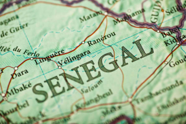 Dak‘Art and Senegal Discovery Tour - 9