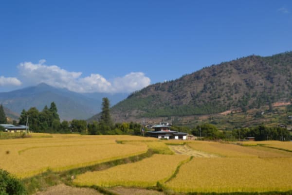Western Bhutan Wonders - 5