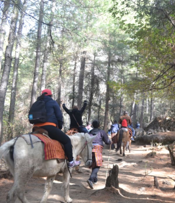 Western Bhutan Wonders - 6