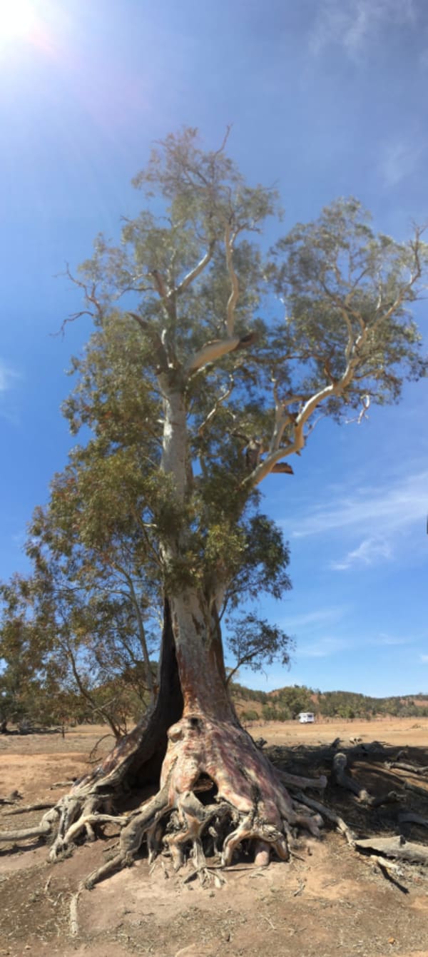 South Australia Experience - 1