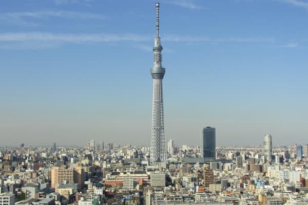 Japan Culinary and Culture Highlights - 2