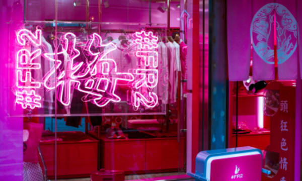 Japan Culinary and Culture Highlights - 6