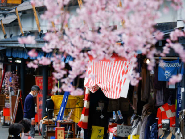 Japan Culinary and Culture Highlights - 8