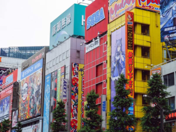 Japan Culinary and Culture Highlights - 9