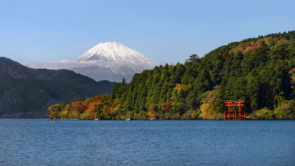 Japan Culinary and Culture Highlights - 10