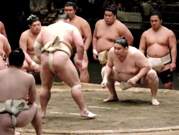 Japan Culinary and Culture Highlights - 11