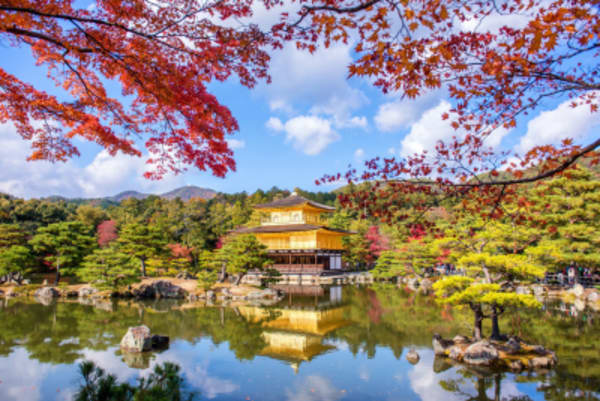 Japan Culinary and Culture Highlights - 13