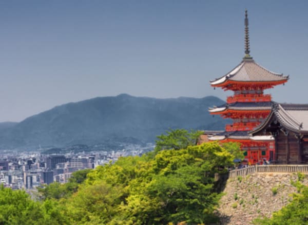 Japan Culinary and Culture Highlights - 14