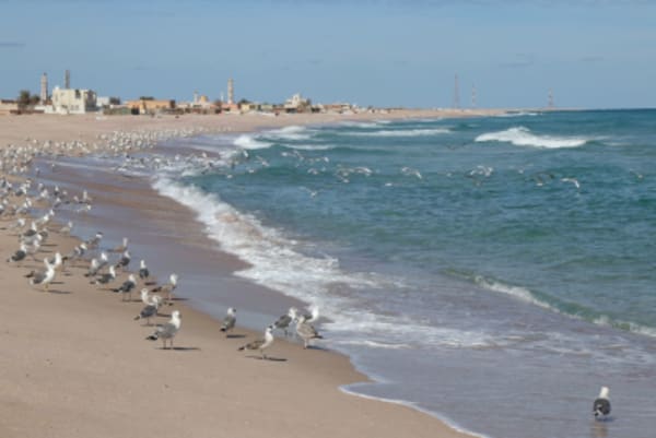 Oman Historical Tour - 2
