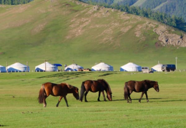 Essence of Mongolia - 2