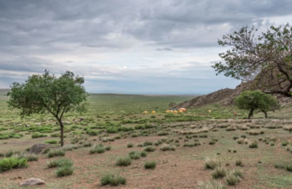 Essence of Mongolia - 20