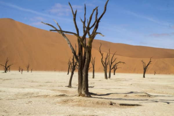 Esencias de Namibia - 1