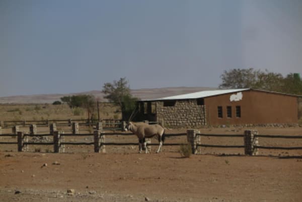 Esencias de Namibia - 5