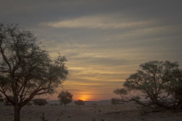 Esencias de Namibia - 7