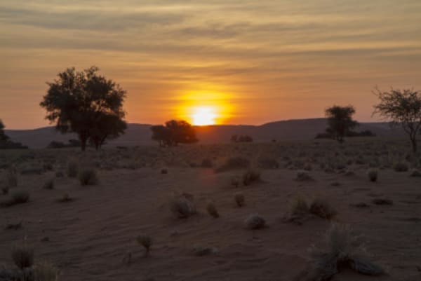 Esencias de Namibia - 6