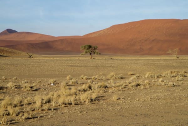 Esencias de Namibia - 10