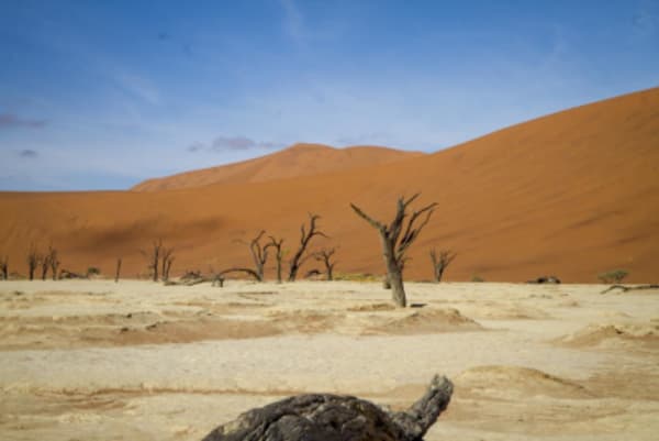 Esencias de Namibia - 12