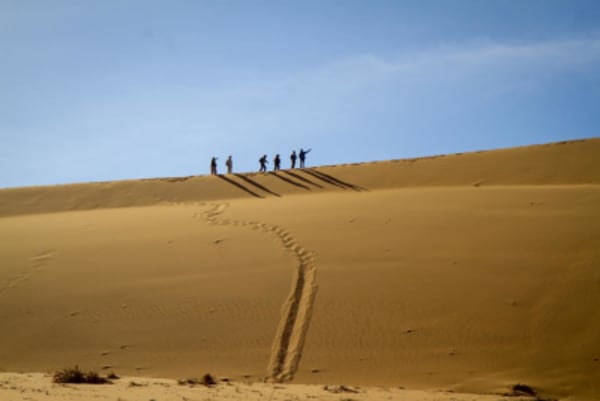 Esencias de Namibia - 11