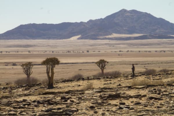 Esencias de Namibia - 15