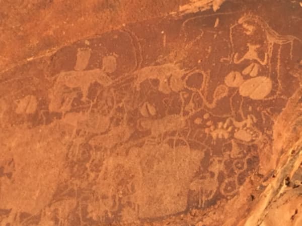 Esencias de Namibia - 28
