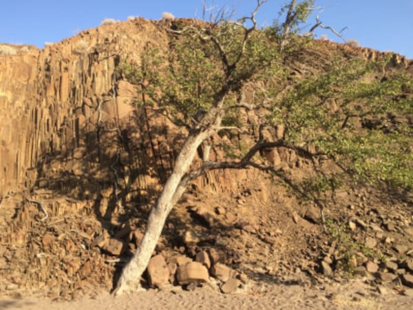 Esencias de Namibia - 29