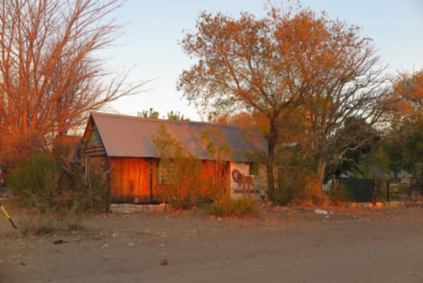 Esencias de Namibia - 46