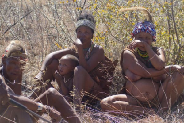 Esencias de Namibia - 54