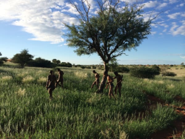 Esencias de Namibia - 58