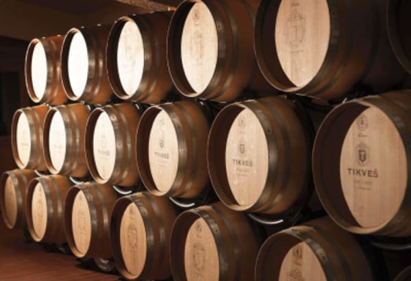 Wine tour in North Macedonia - 1