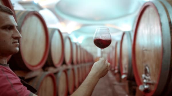 Wine tour in North Macedonia - 14