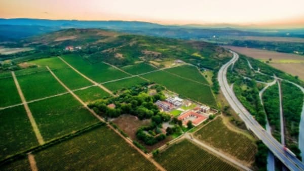 Wine tour in North Macedonia - 15