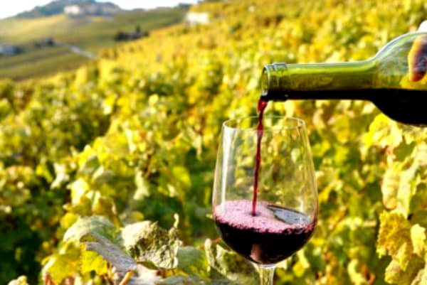 Wine tour in North Macedonia - 9