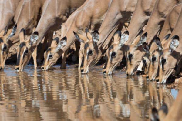 Luxury Namibia - 1