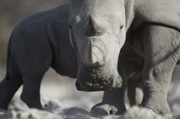 Luxury Namibia - 24