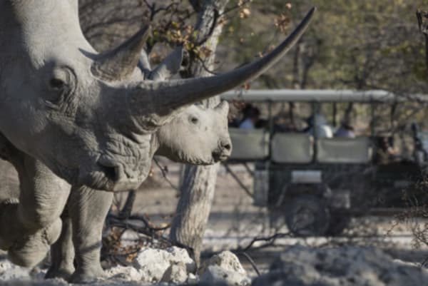 Luxury Namibia - 22