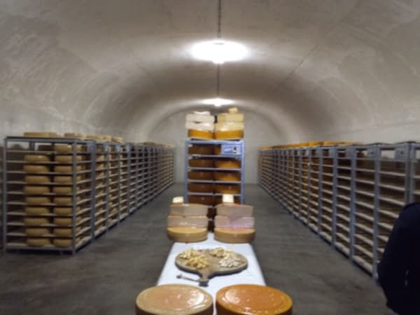 Immersion in the Balkans - 11