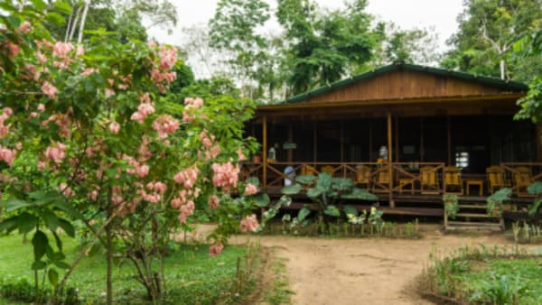 Puerto Maldonado Amazon Eco-Lodge 5D/4N (from Cuzco) - 5