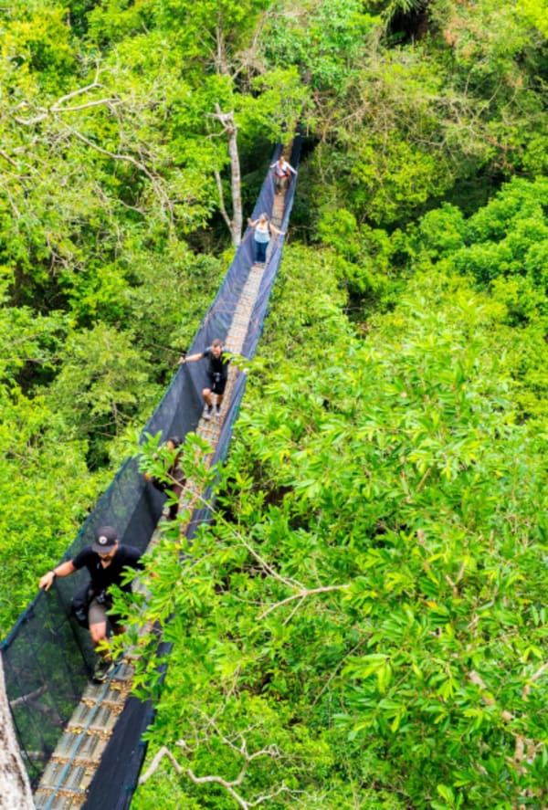 Puerto Maldonado Amazon Eco-Lodge 5D/4N (from Cuzco) - 22