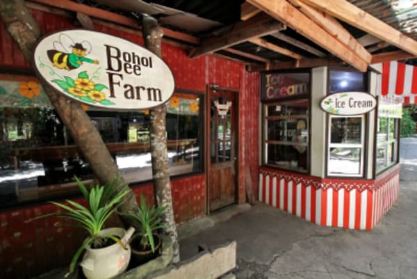 Travel around the magnificent Central Visayas - 22