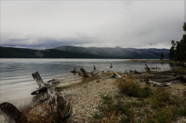 Waterways and Wildlife of Mongolia - 15