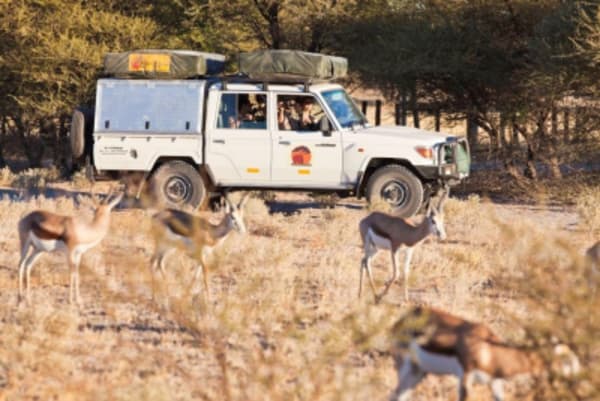 Self drive in Makgadikgadi and North Botswana - 1