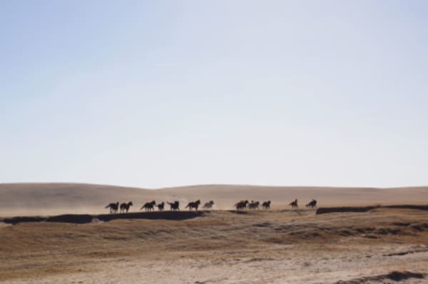 A Winter Nomadic Cultural Adventure in the Mountains, Desert + Steppes - 6