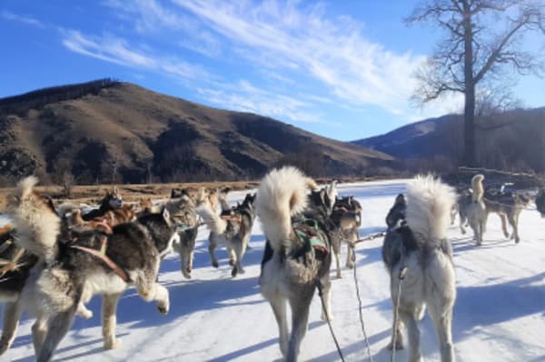 A Winter Nomadic Cultural Adventure in the Mountains, Desert + Steppes - 7
