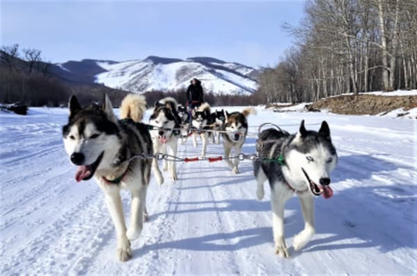 A Winter Nomadic Cultural Adventure in the Mountains, Desert + Steppes - 9