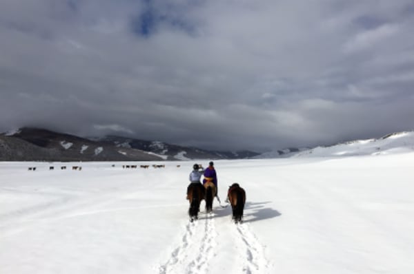 A Winter Nomadic Cultural Adventure in the Mountains, Desert + Steppes - 12