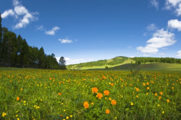 A Journey Through Legendary Mongolia - 2