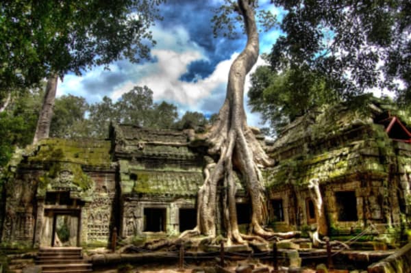 The Majestic Beauty of Indochina - 22