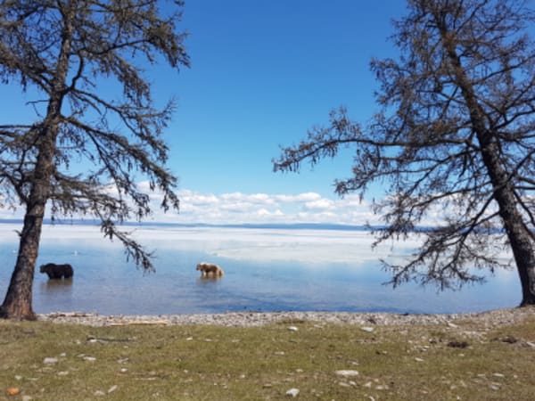 Taiga Trails: A Majestic Horse Trek to the Dukha Reindeer Herders - 3