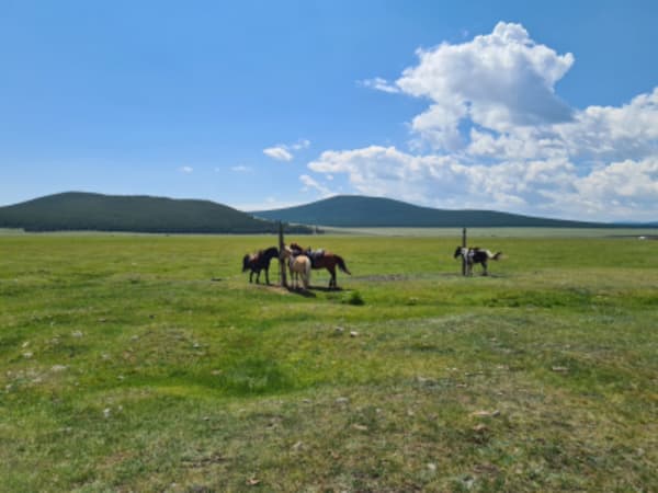 Taiga Trails: A Majestic Horse Trek to the Dukha Reindeer Herders - 8