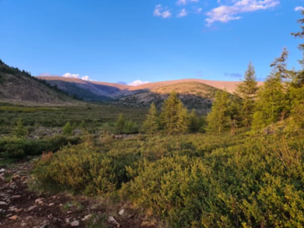 Taiga Trails: A Majestic Horse Trek to the Dukha Reindeer Herders - 11